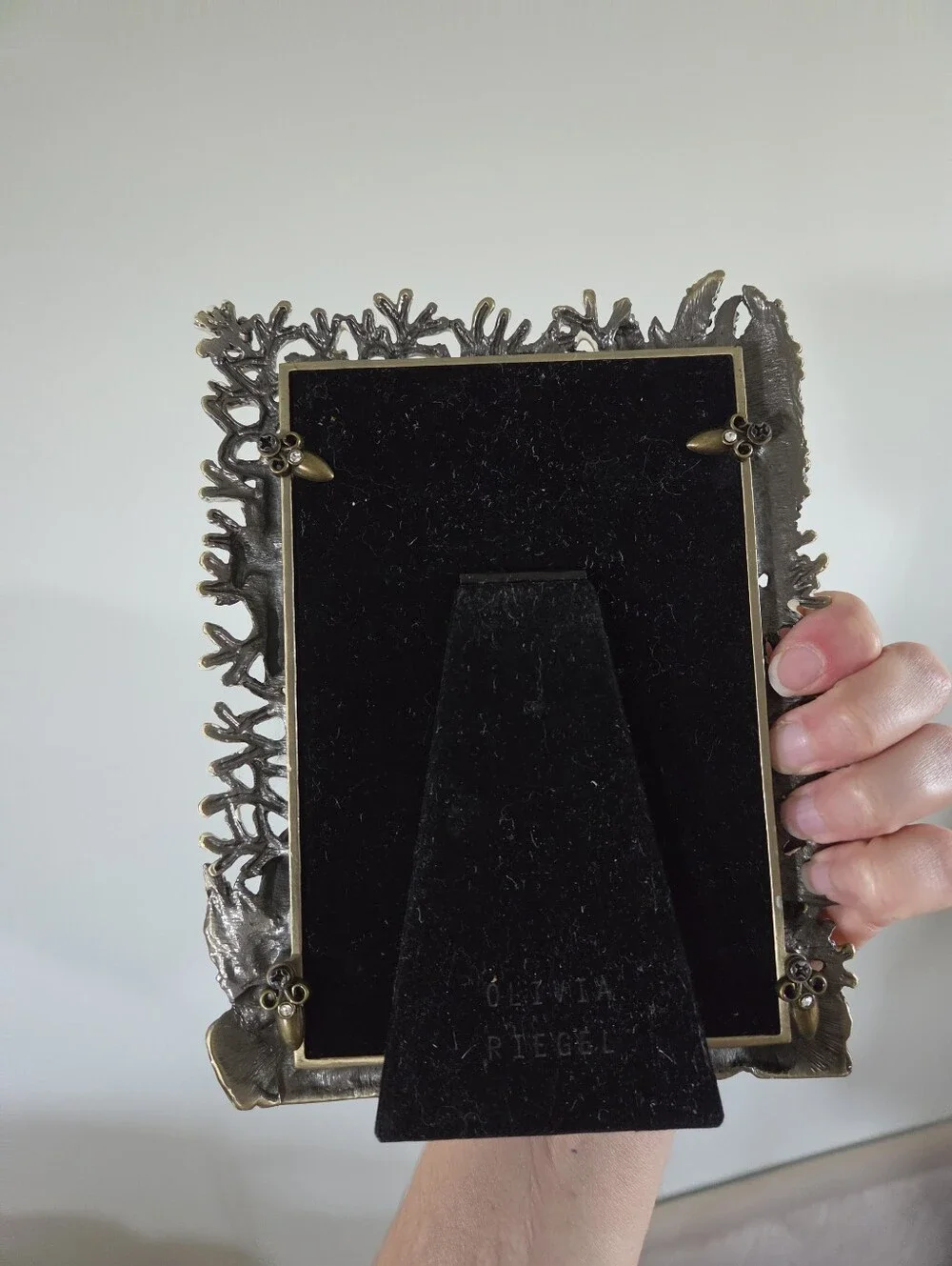 ​Olivia Riegel Vintage Coral Reef Tropical Fish 4x6 Picture Frame - Enamel & Cry